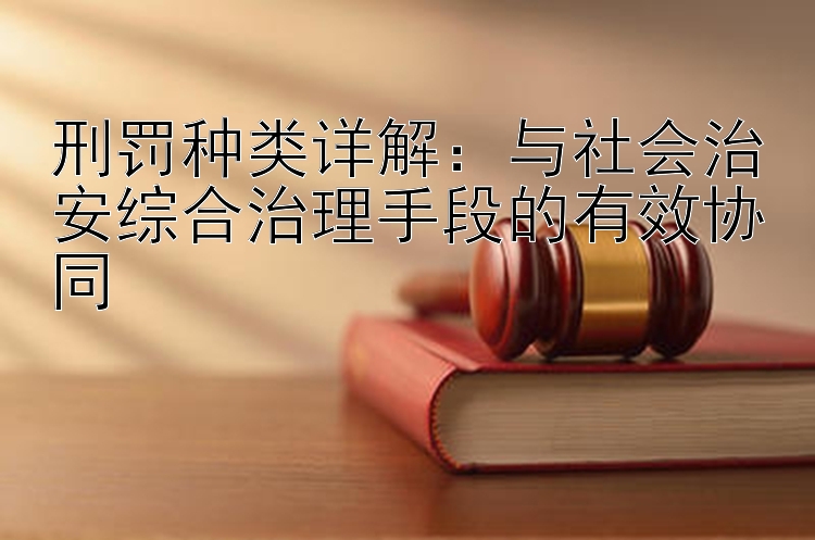 刑罚种类详解：与社会治安综合治理手段的有效协同