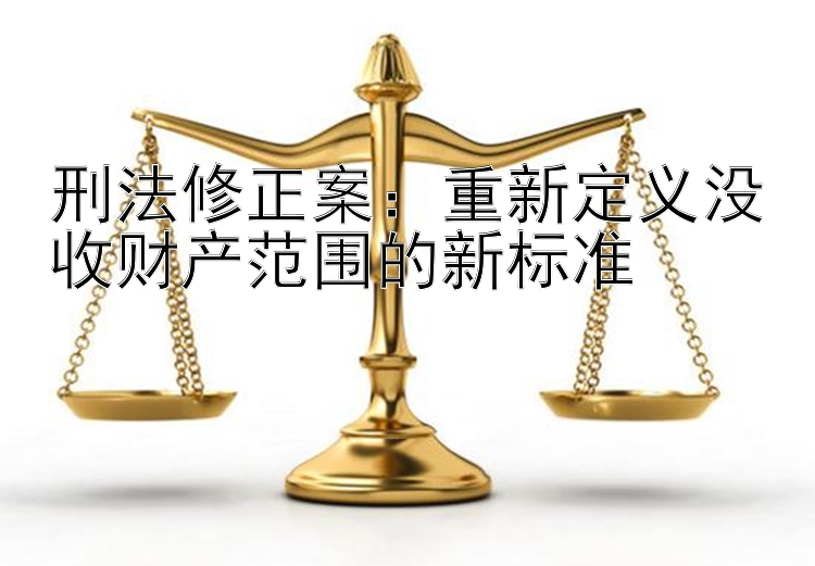 刑法修正案：重新定义没收财产范围的新标准