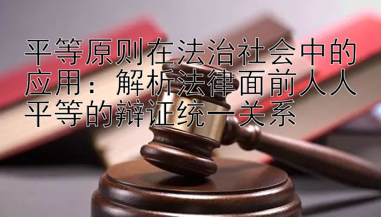 平等原则在法治社会中的应用：解析法律面前人人平等的辩证统一关系