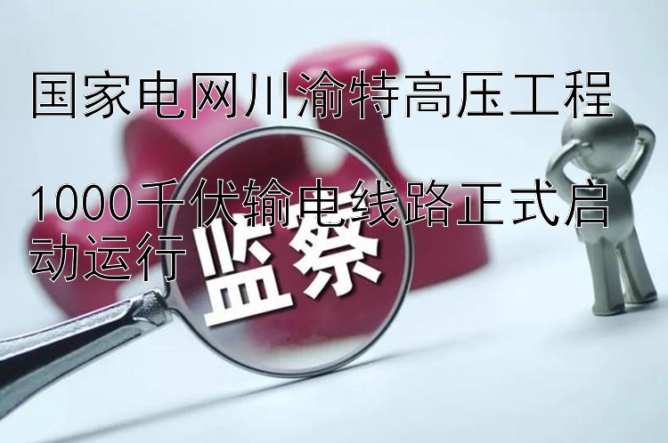 国家电网川渝特高压工程  
1000千伏输电线路正式启动运行