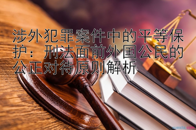 涉外犯罪案件中的平等保护