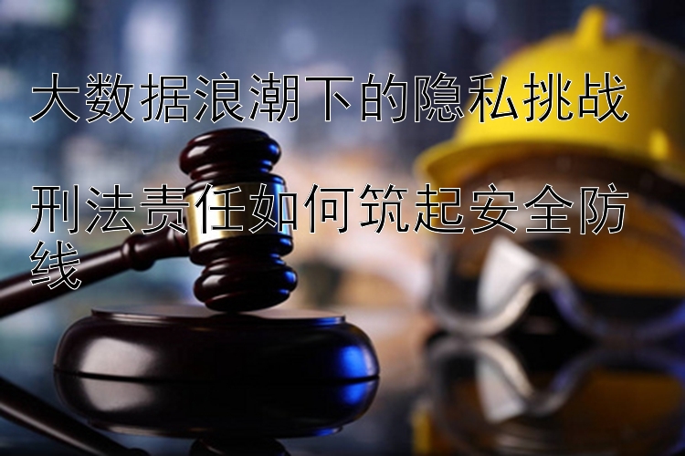 大数据浪潮下的隐私挑战  
刑法责任如何筑起安全防线