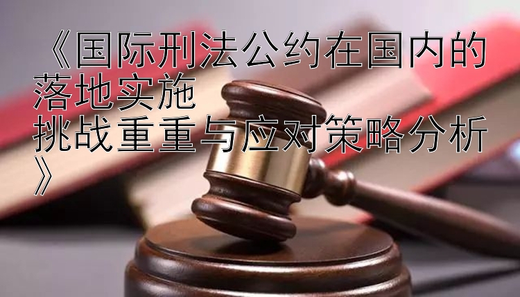 国际刑法公约在国内的落地实施  