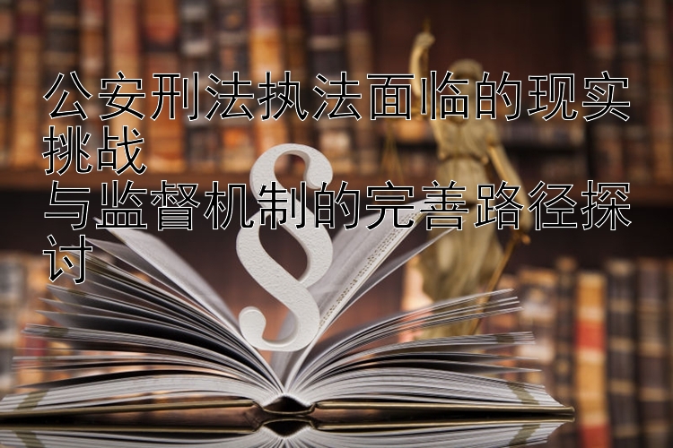 公安刑法执法面临的现实挑战  
与监督机制的完善路径探讨