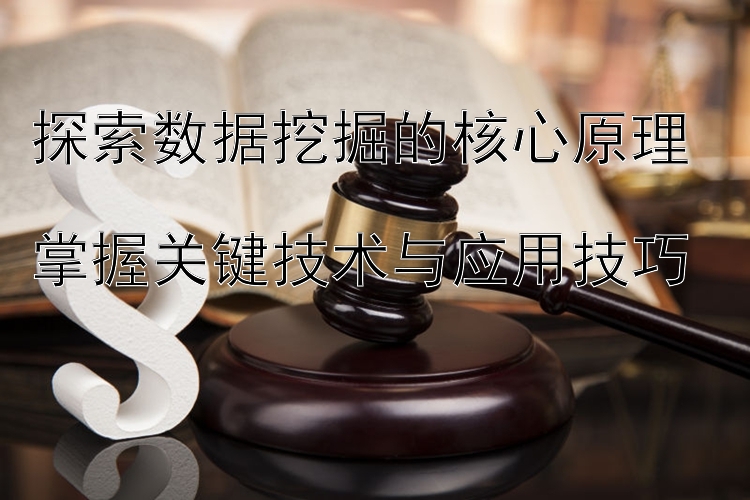 探索数据挖掘的核心原理  
掌握关键技术与应用技巧